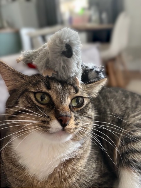 Luna