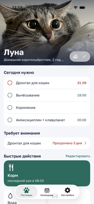 Карточка питомца: что нужно сегодня и кто покормил кошку